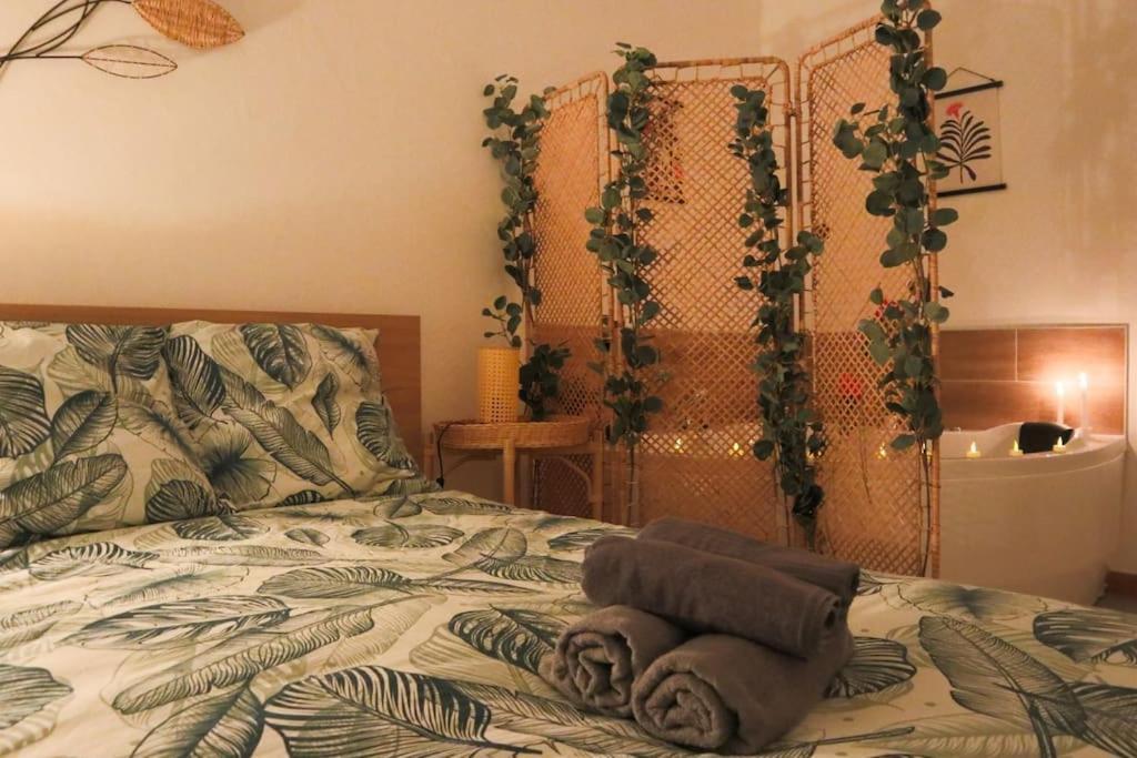 Le Cocon Fleuri, Proche Centre Appartement *