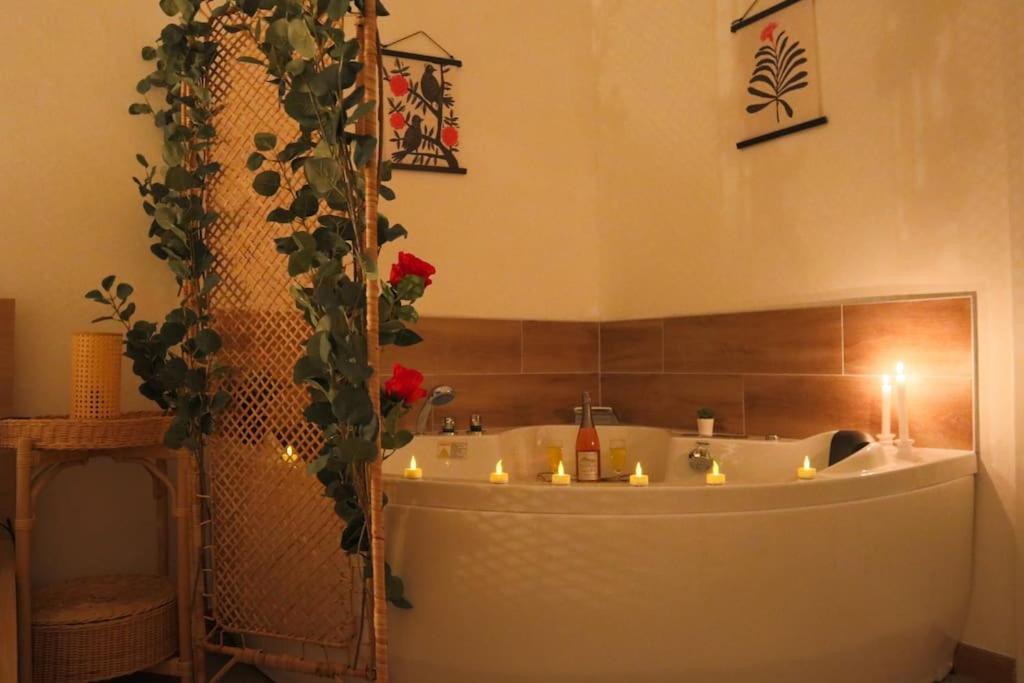 Appartement Le Cocon Fleuri, Proche Centre *
