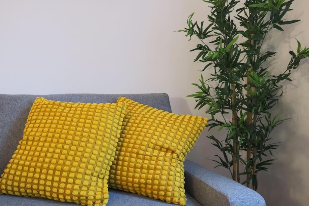 Appartement Le Cocon Fleuri, Proche Centre
