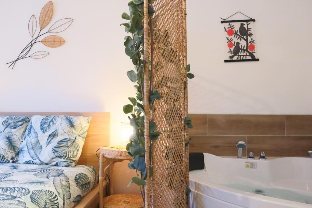 Le Cocon Fleuri, Proche Centre Mulhouse